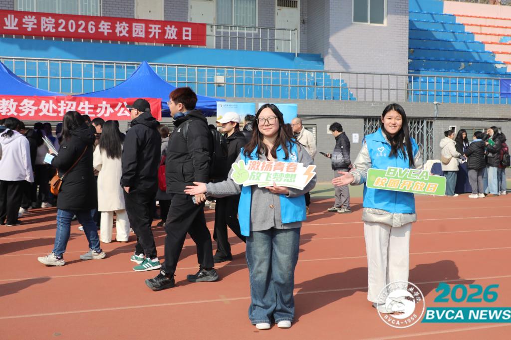 jiaowuchu@boguanke