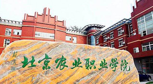 MORE 资讯速递