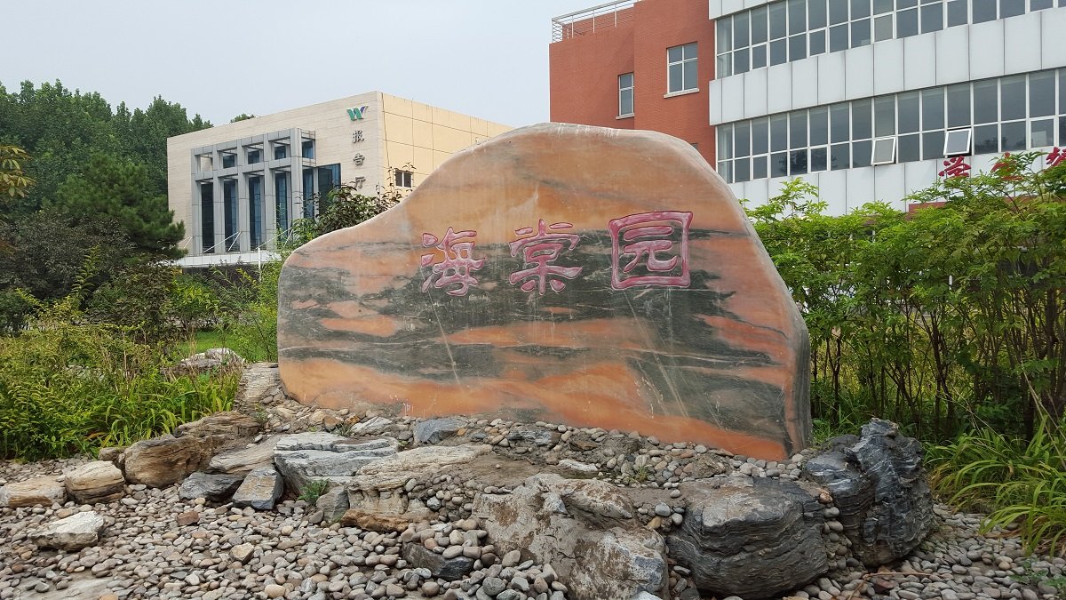 乐天堂(Letiantang)体育a