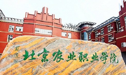 乐天堂(Letiantang)体育a