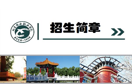 较高文化素质和综合职业素养的国际化
