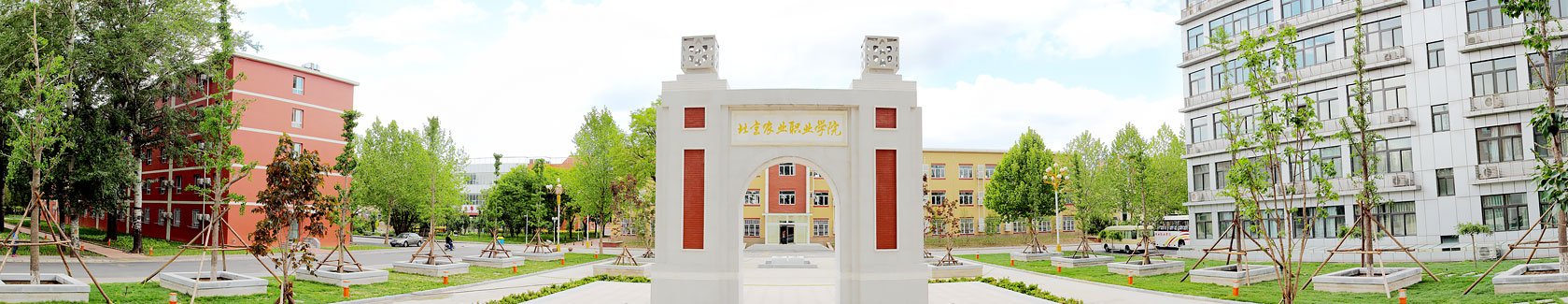 服务和管理岗位