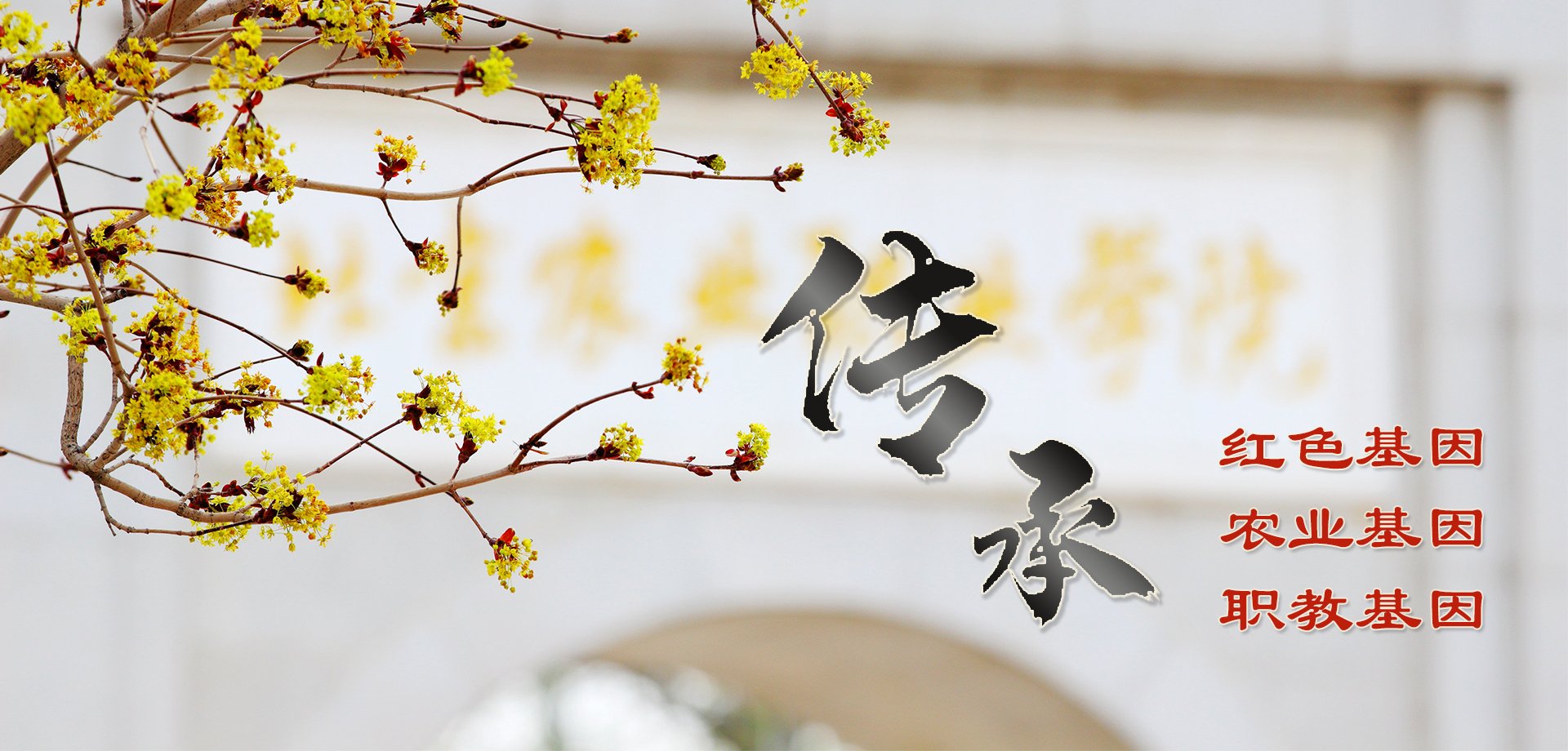 河北省水利科学研究院副院长马素英携该