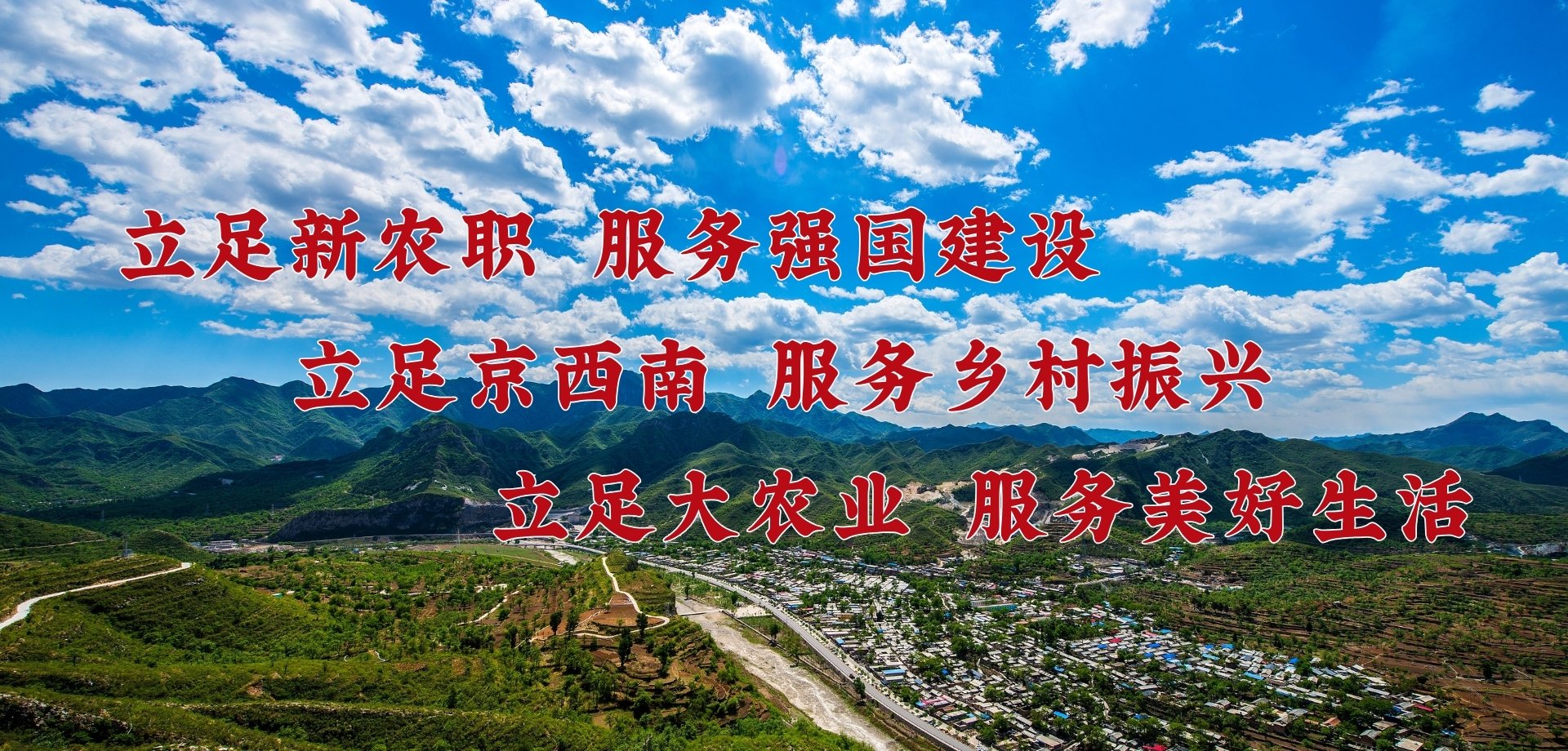 项目负责人