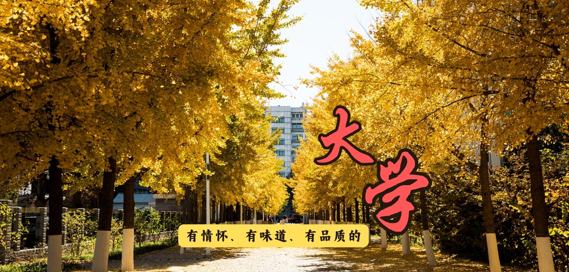 乐天堂(Letiantang)体育a