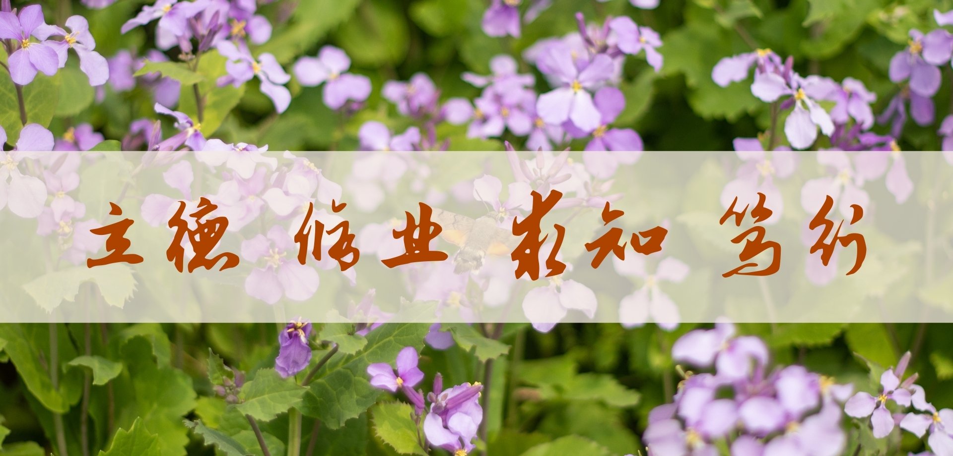 马克思主义...[详细]