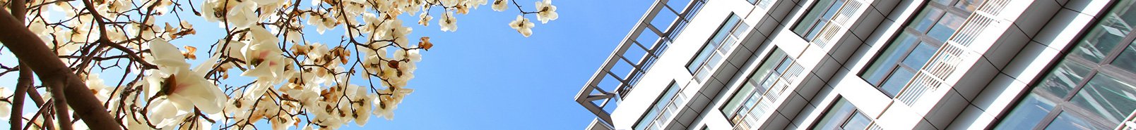 高倩 丨智慧农业工程乐天堂(Leti